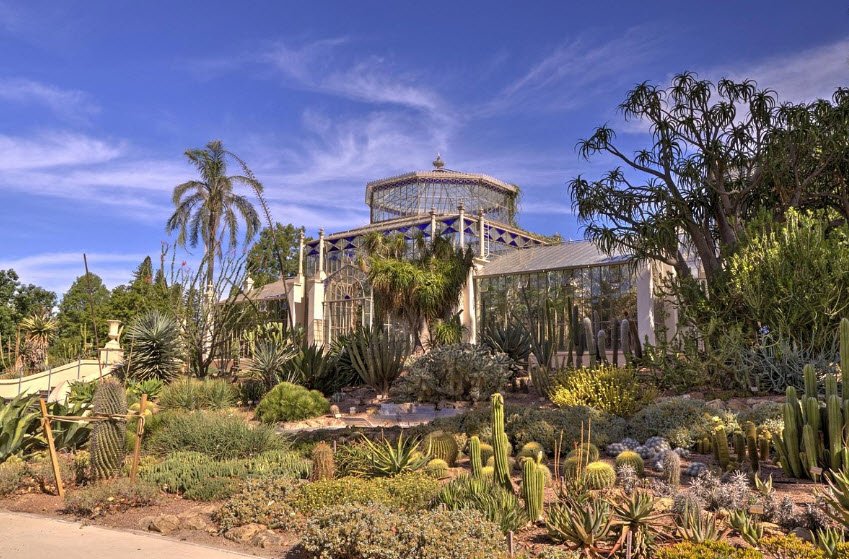 Adelaide Botanic Garden, Australia